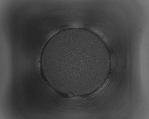 X0000103151170200808291424