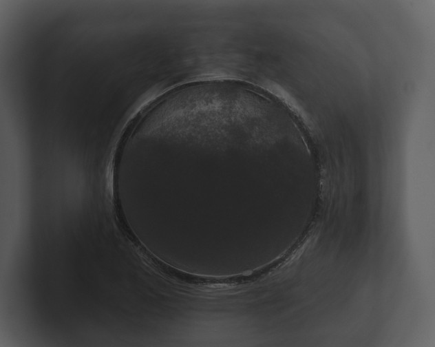 X0000103151173200808291424