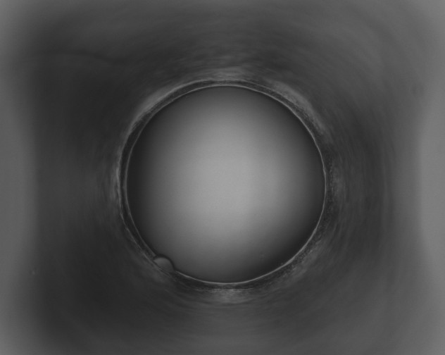 X0000103151176200808291424