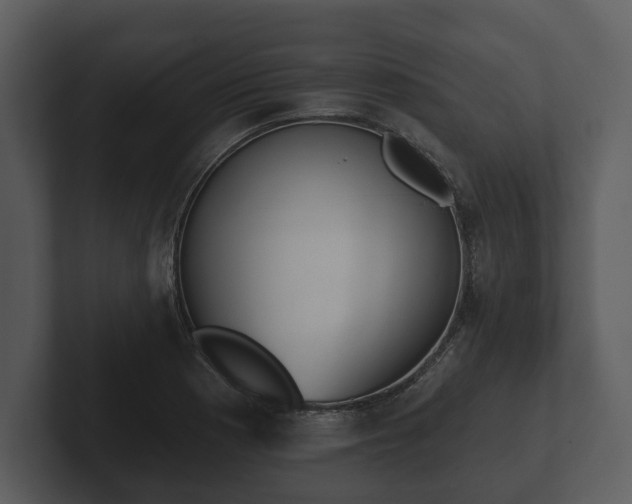 X0000103151177200808291424