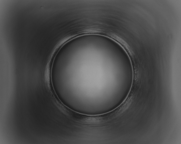 X0000103151179200808291424