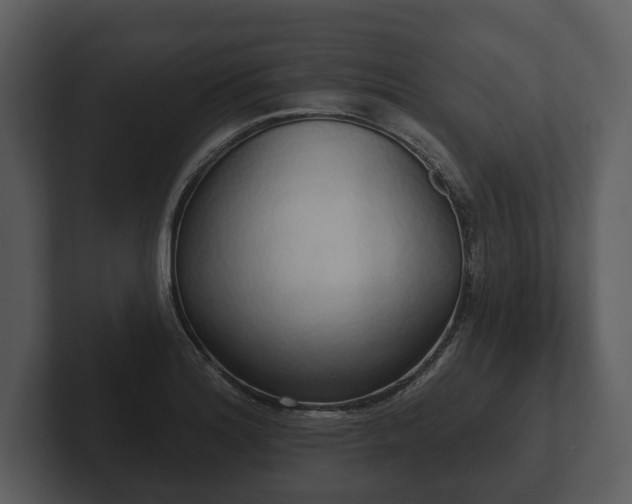 X0000103151180200808291424