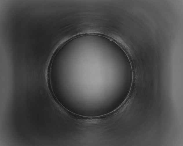 X0000103151181200808291424