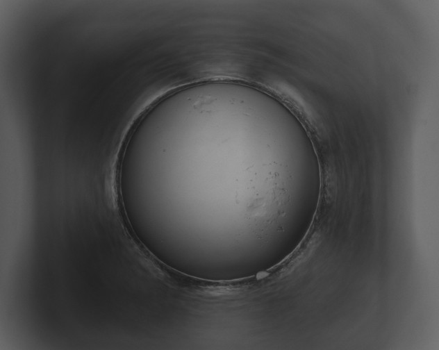 X0000103151182200808291424