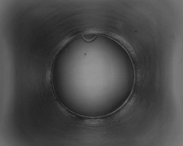 X0000103151185200808291424