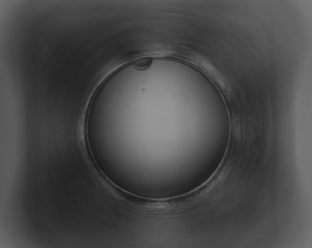 X0000103151186200808291423