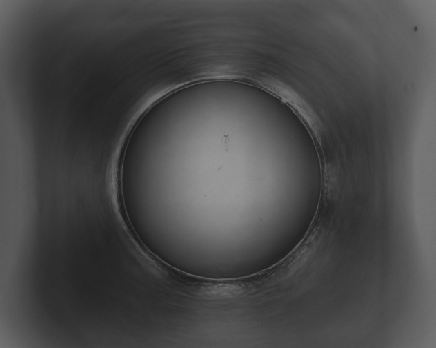 X0000103151187200808291423