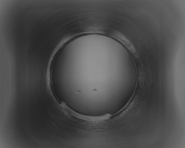 X0000103151188200808291423