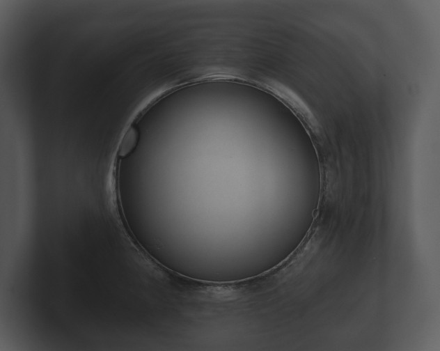 X0000103151190200808291423