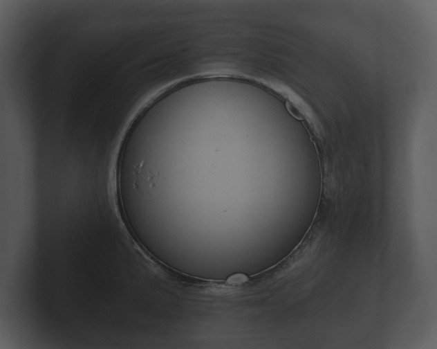 X0000103151191200808291423