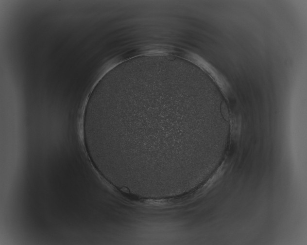 X0000103151194200808291423