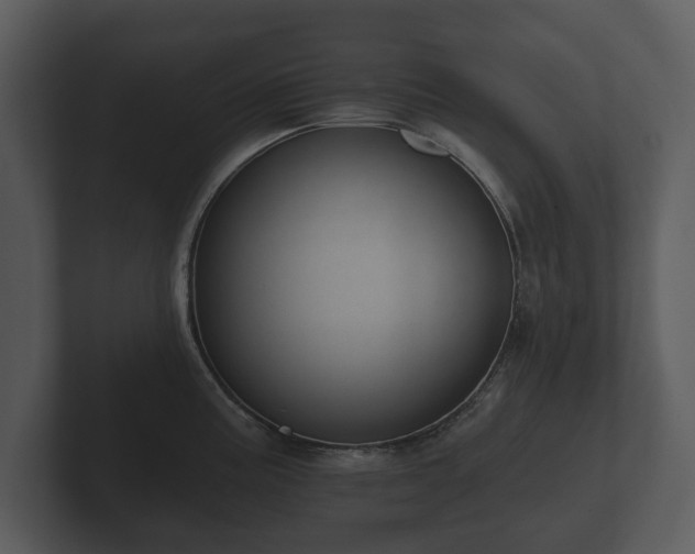 X0000103151195200808291423