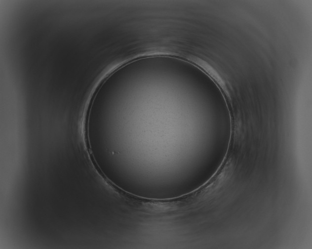 X0000103151197200808291423