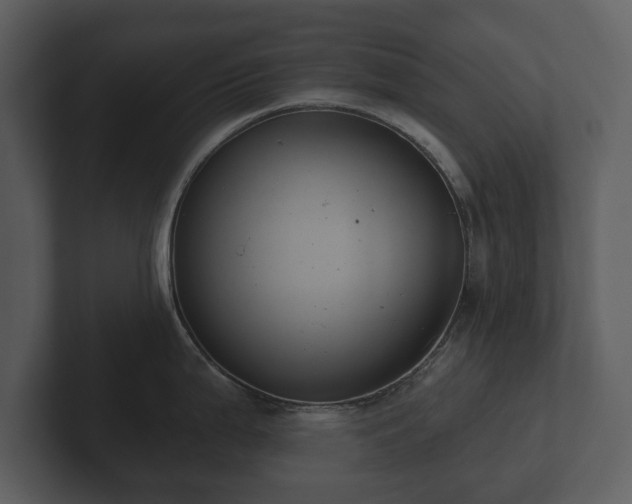 X0000103151199200808291423