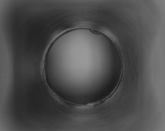 X0000103151200200808291423