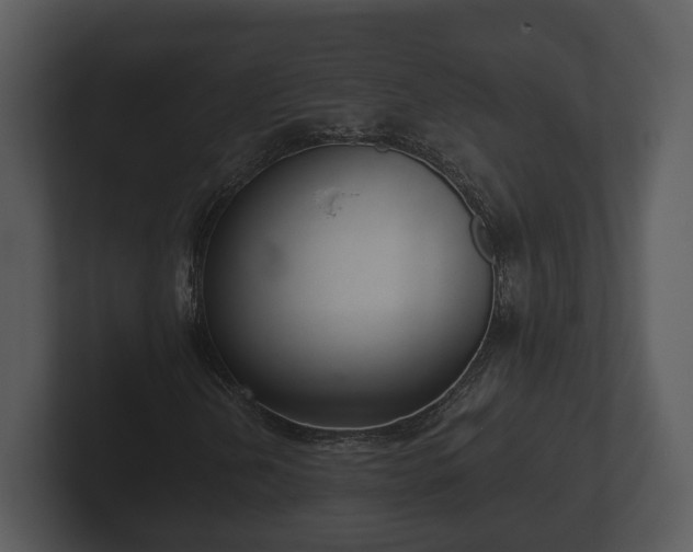 X0000103151202200808291423