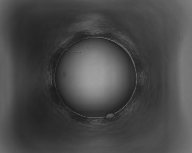 X0000103151205200808291423