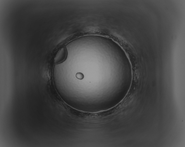 X0000103151206200808291423