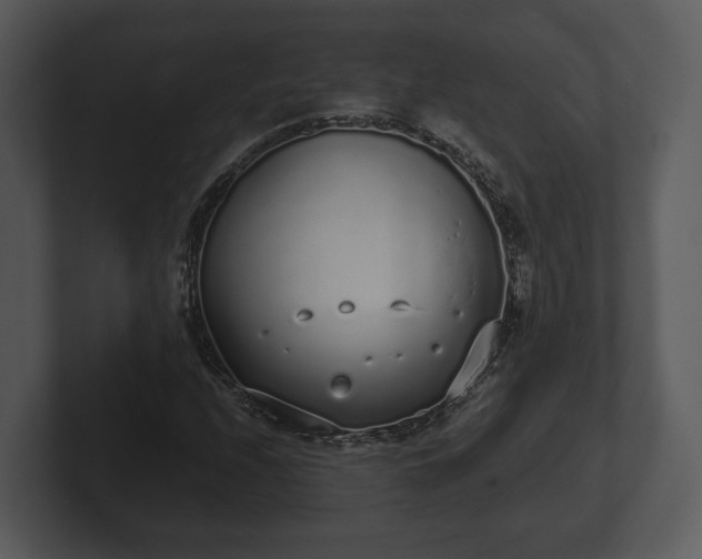 X0000103151208200808291423