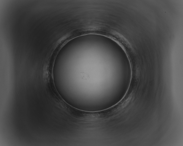 X0000103151210200808291423