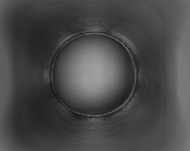 X0000103151212200808291423