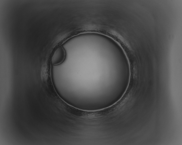 X0000103151213200808291423