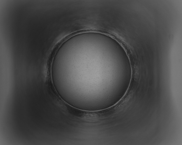 X0000103151215200808291423