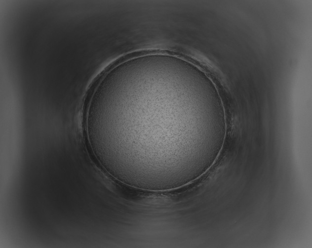 X0000103151216200808291423