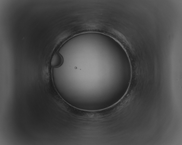 X0000103151218200808291423