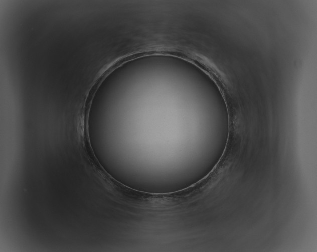 X0000103151220200808291423