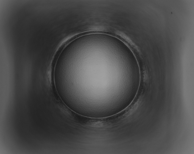 X0000103151222200808291423