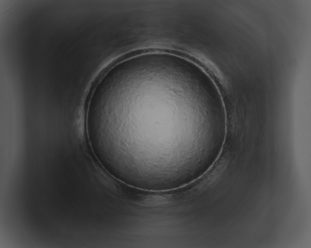 X0000103151224200808291423