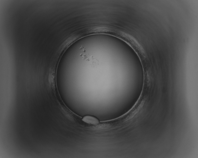 X0000103151225200808291423