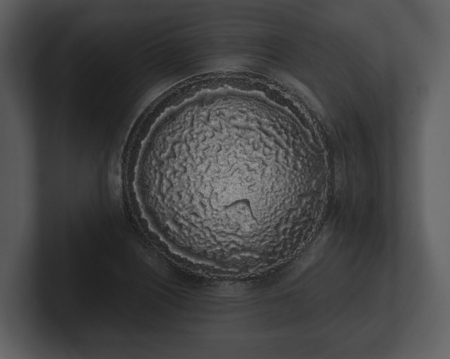 X0000103151226200808291423