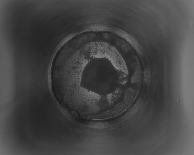 X0000103151229200808291423