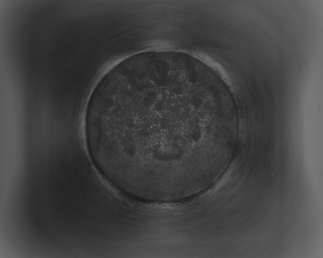 X0000103151231200808291423