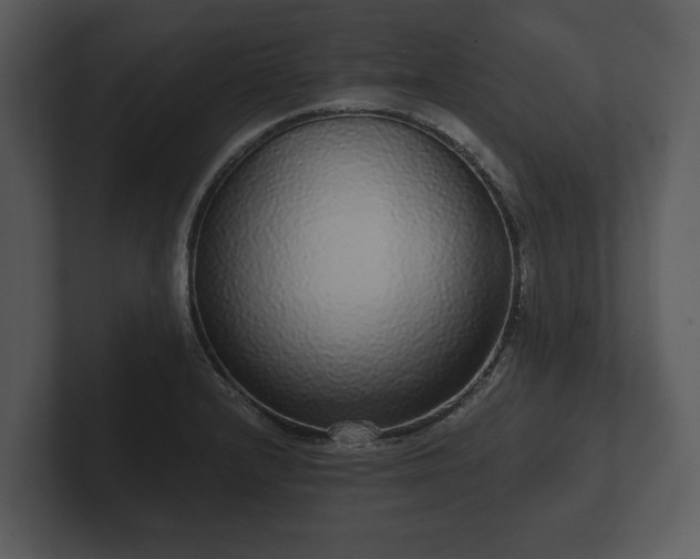 X0000103151232200808291423