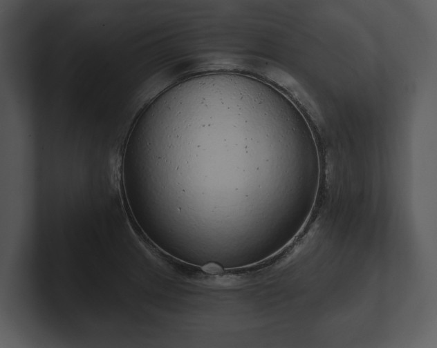 X0000103151233200808291423