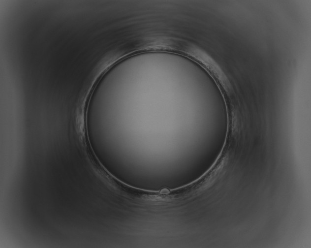 X0000103151234200808291423