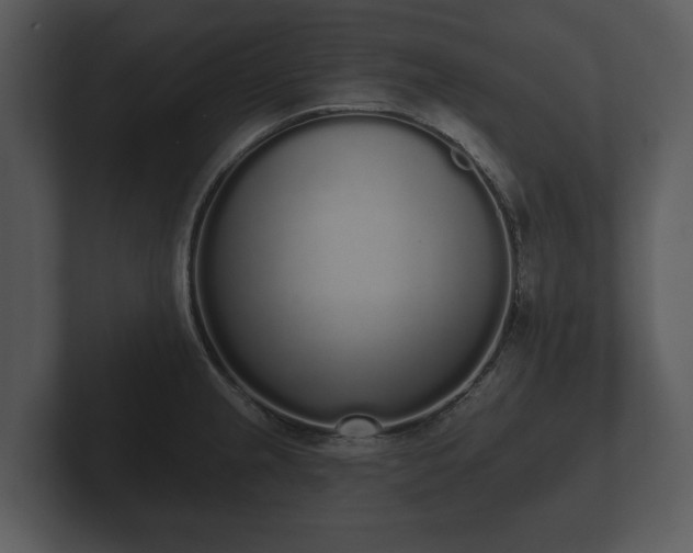 X0000103151237200808291423