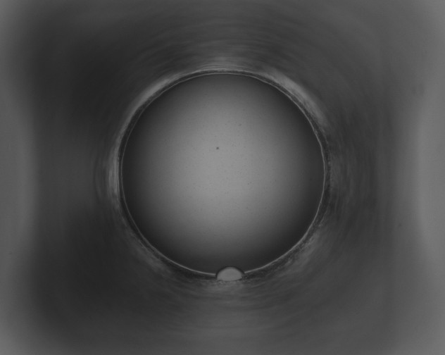 X0000103151238200808291423