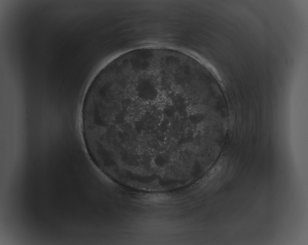 X0000103151239200808291423