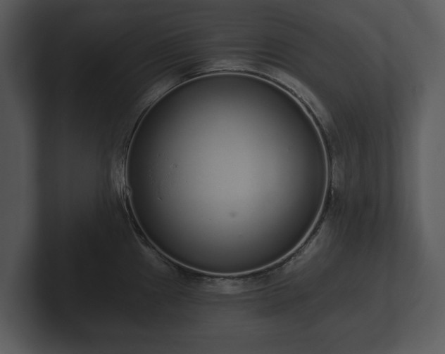 X0000103151241200808291423