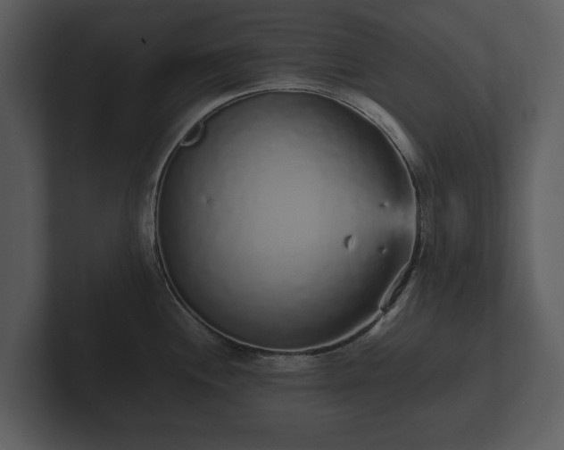 X0000103151244200808291423