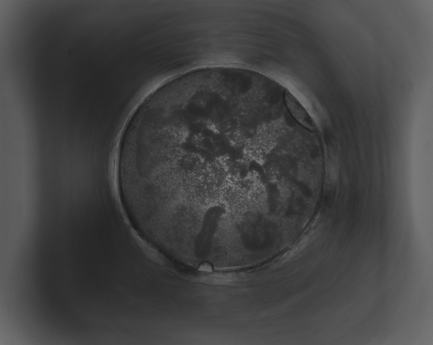 X0000103151245200808291423