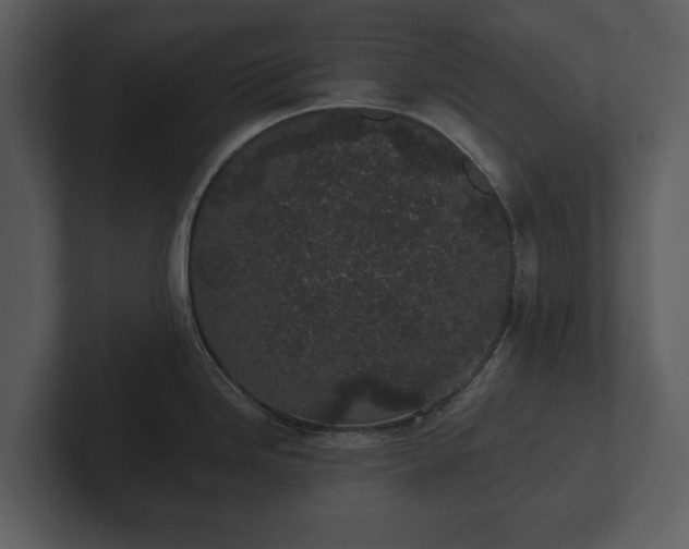 X0000103151246200808291423