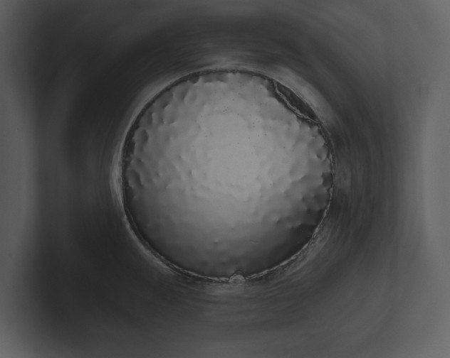 X0000103151247200808291423