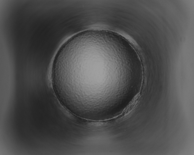 X0000103151248200808291423