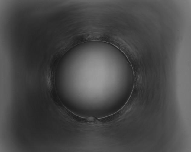 X0000103151250200808291423