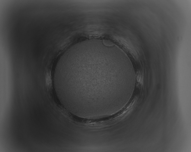 X0000103151252200808291423